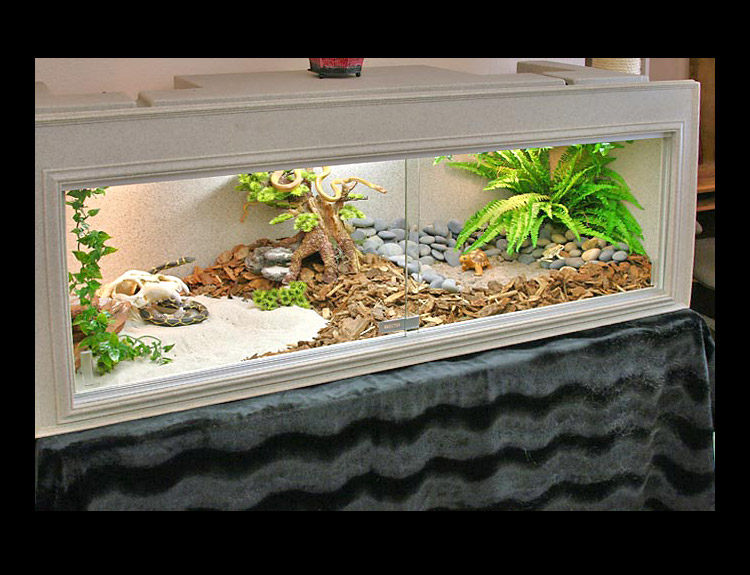 Iguana Cage - Bearded Dragon Cage - Plastic Cage - Reptile Supplies ...